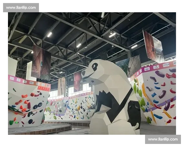 攀岩联赛眉山站:难度决赛巅峰对决,谭有恬朱成彬登顶